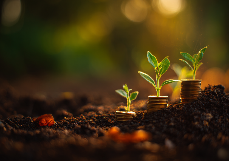 Wege zu deiner Freiheit – Münzen und Keimlinge als Symbol